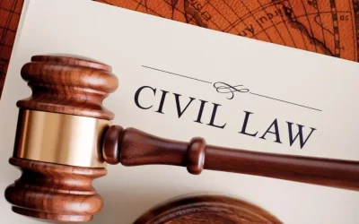Civil Law in the United States: Rights, Responsibilities, and the Legal System in 2025