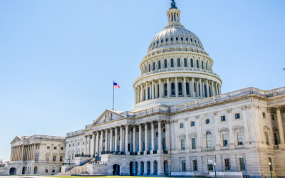 US City Lifestyle: The Real American Experience in 2025
